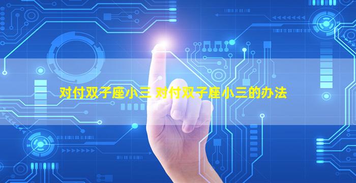 对付双子座小三 对付双子座小三的办法
